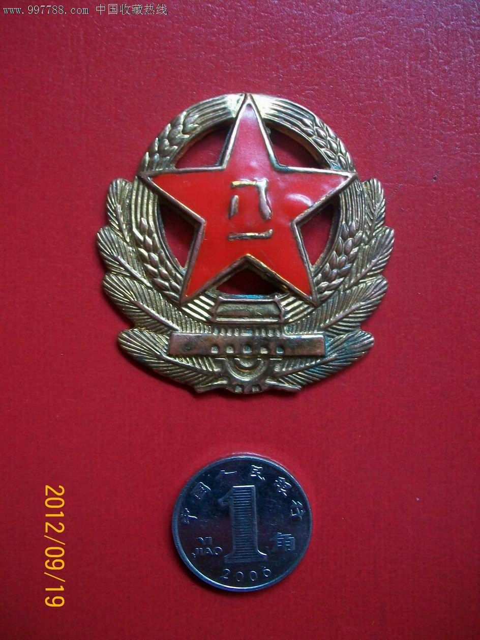 星空综合股份(中国)