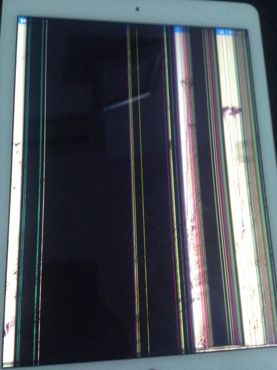 星空·综合(体育中国)