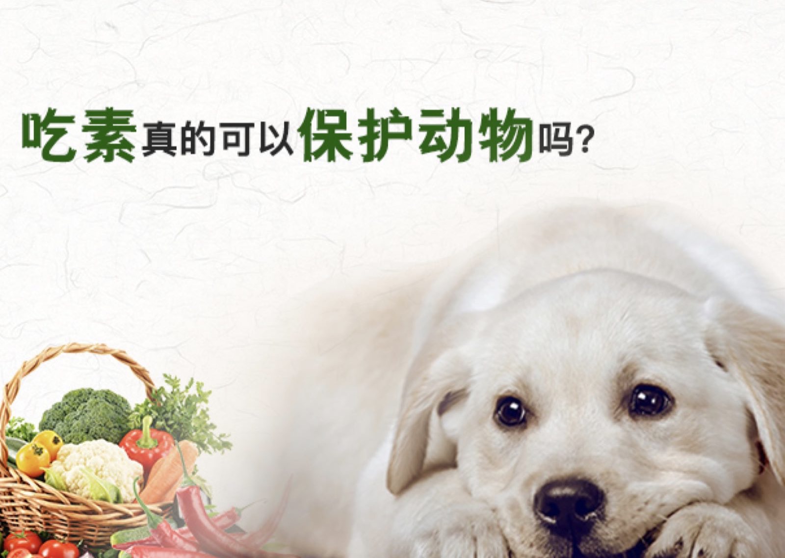 
初中政治答题公式：星空综合股份(中国)