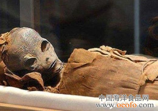 星空·综合(体育中国)