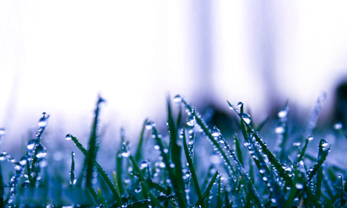 星空综合股份(中国)