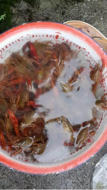 外媒IGN评选RPG作品中的十大顶级游戏世界-星空·综合(体育中国)