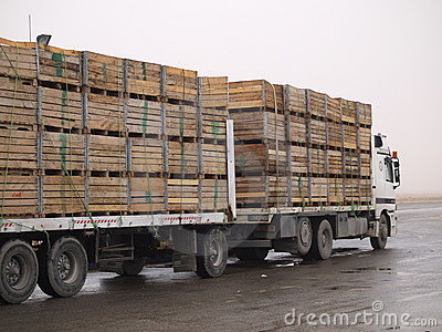 星空·综合(中国)体育网站