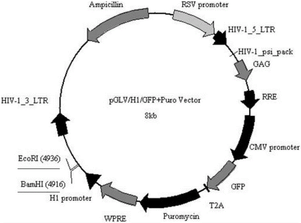 像素风暴力游戏《俄国母亲洒热血》9月5日发售_星空综合股份(中国)