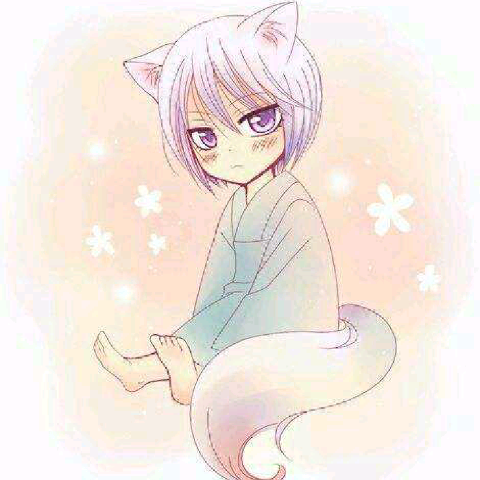 星空综合股份(中国)