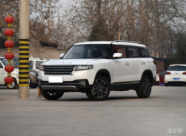 星空综合股份(中国)