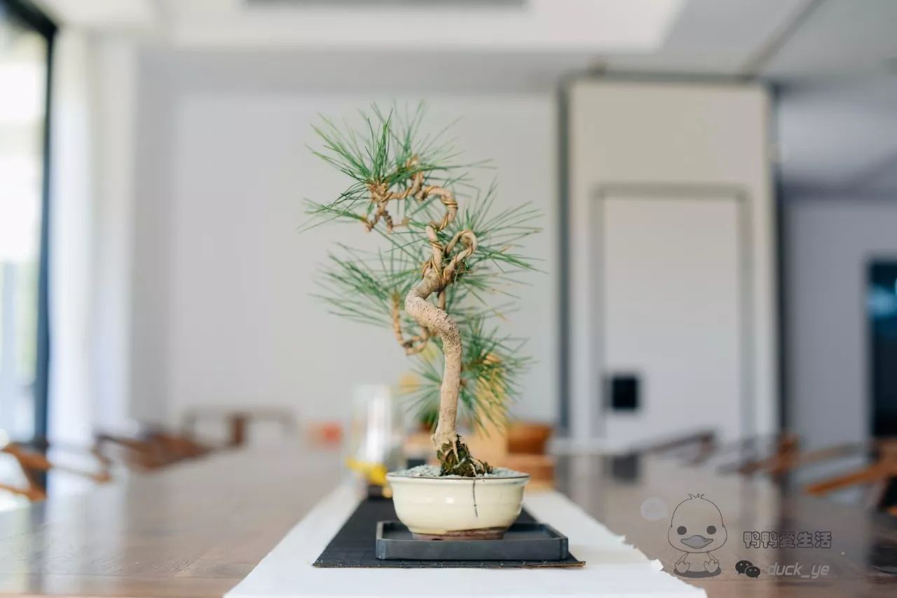 星空·综合(中国)体育网站