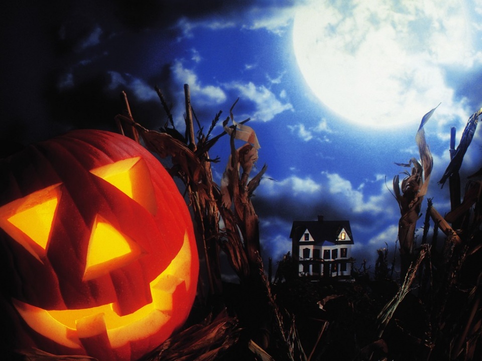 星空综合股份(中国)