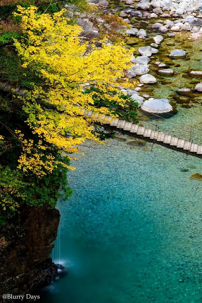 星空·综合(体育中国)