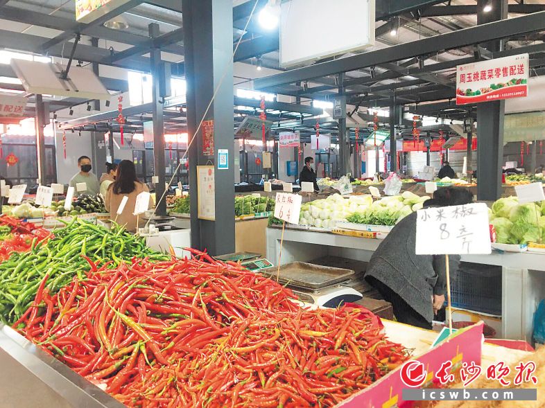 星空·综合(体育中国)