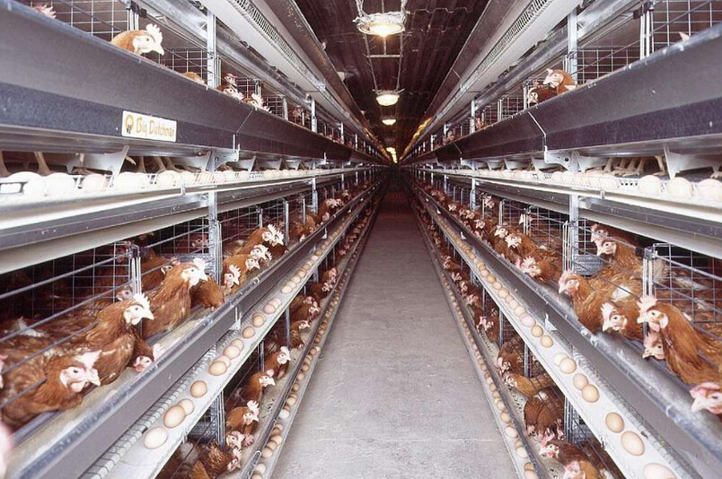 星空·综合(中国)体育网站