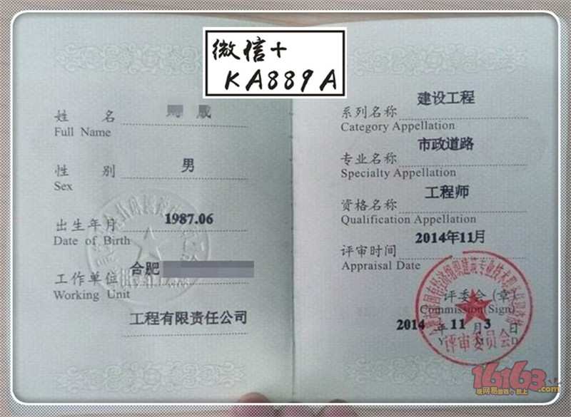 星空·综合(体育中国)