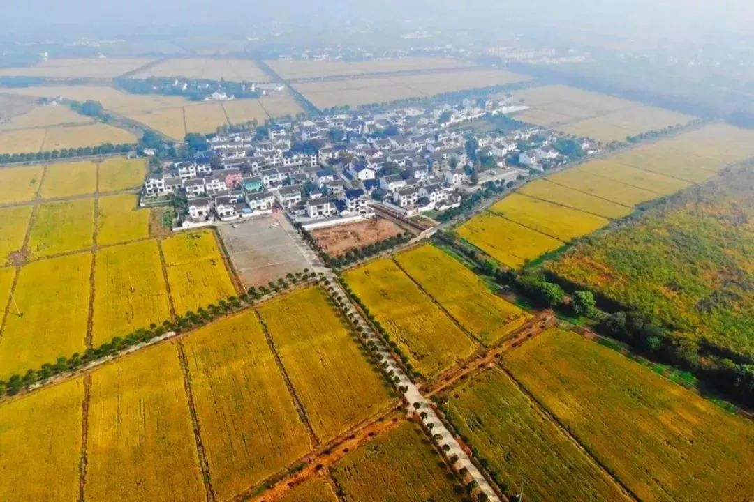 星空综合股份(中国)