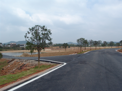 星空·综合(中国)体育网站