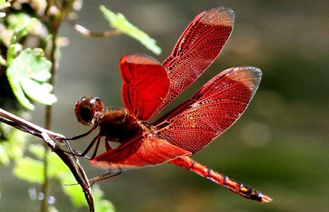 星空·综合(中国)体育网站