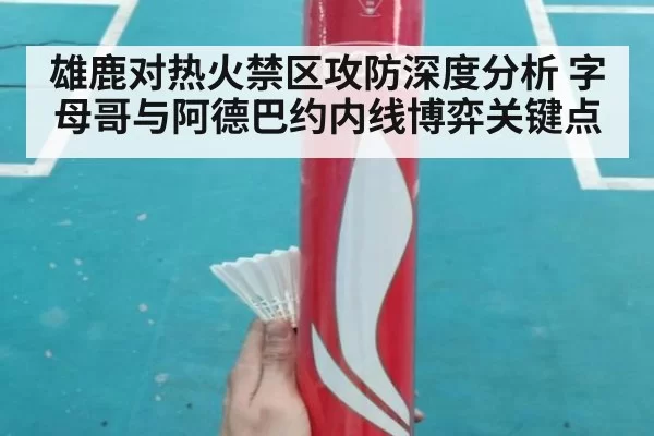 雄鹿对热火禁区攻防深度分析 字母哥与阿德巴约内线博弈关键点